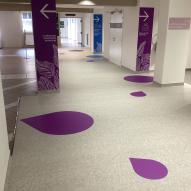 CHI de Mont de Marsan et du Pays des Sources - Marquage au sol et signalétique